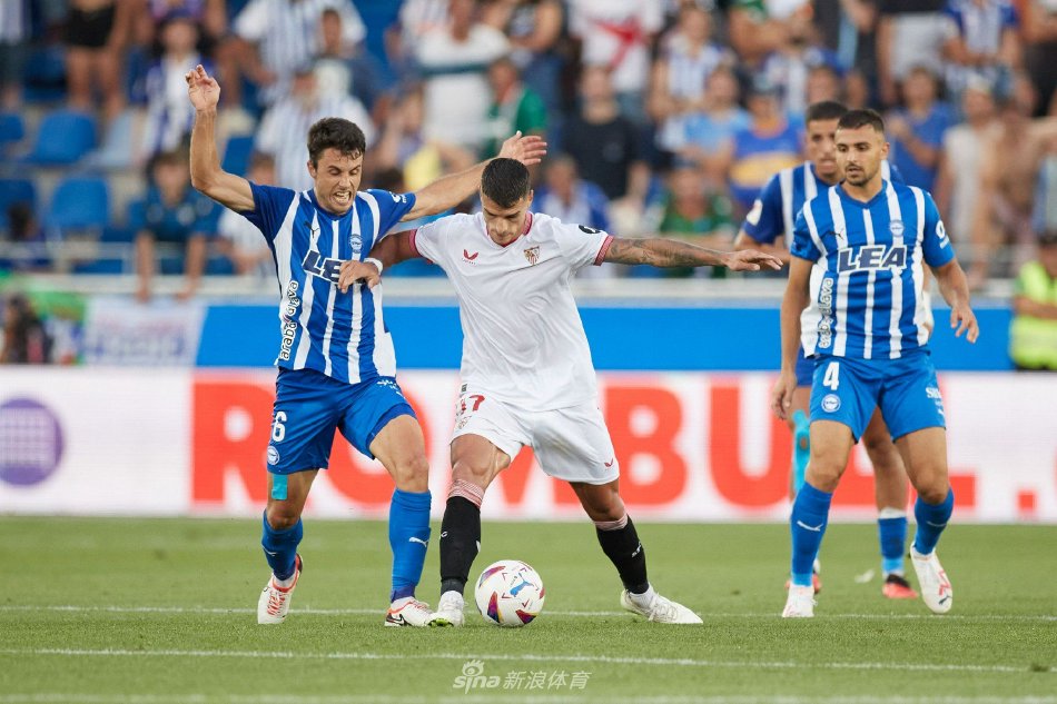 星队的球员 星队的球员